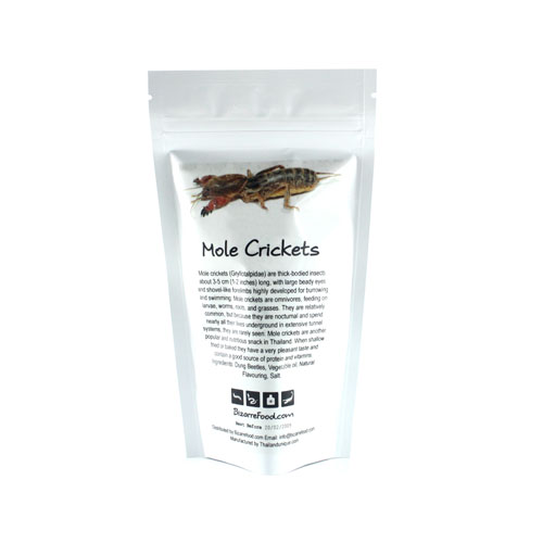 Edible Crickets