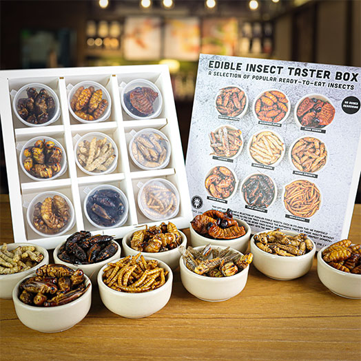 Edible Insect Taster Gift Box
