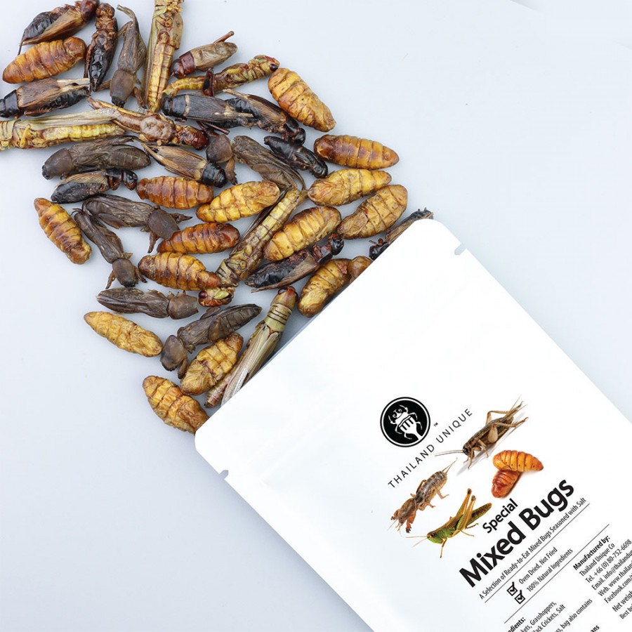 Special Mixed Bugs 40g bag. Extra large size, edible insects for parties  and more