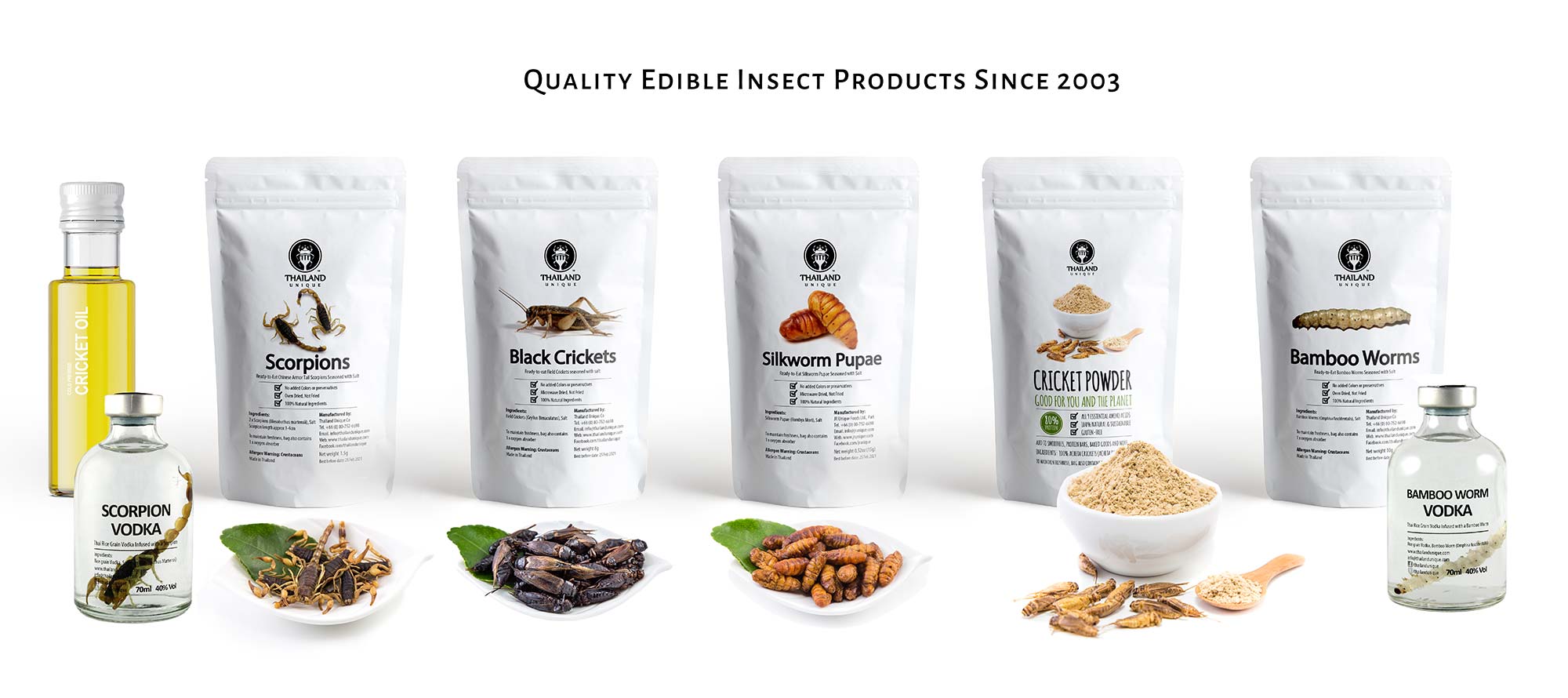 edible-insects