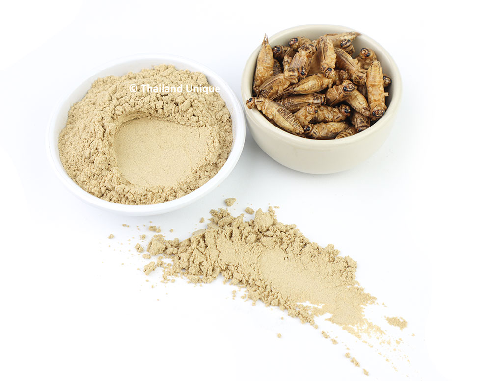 Superfine Cricket Protein Powder